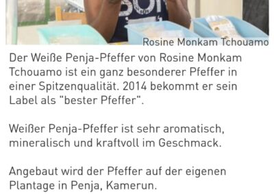 Rubrique Darmstadt Echo